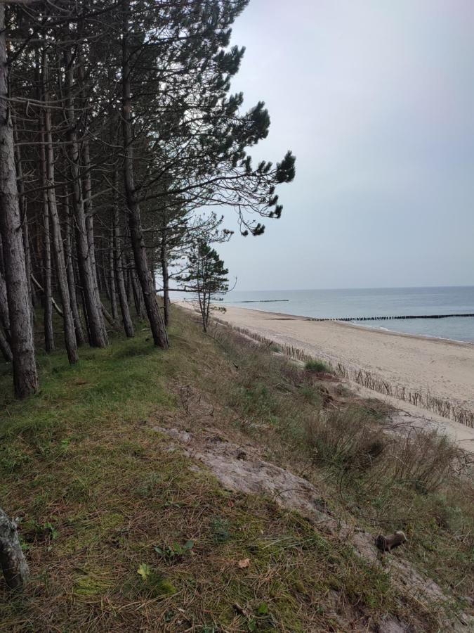 Zielonka Relaks Villa Rusinowo  Kültér fotó